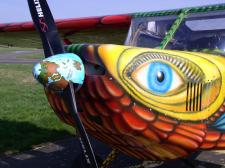 Paradiesvogel Cowling