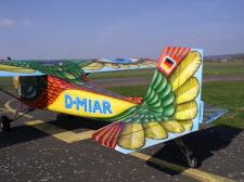 Paradiesvogel Heck